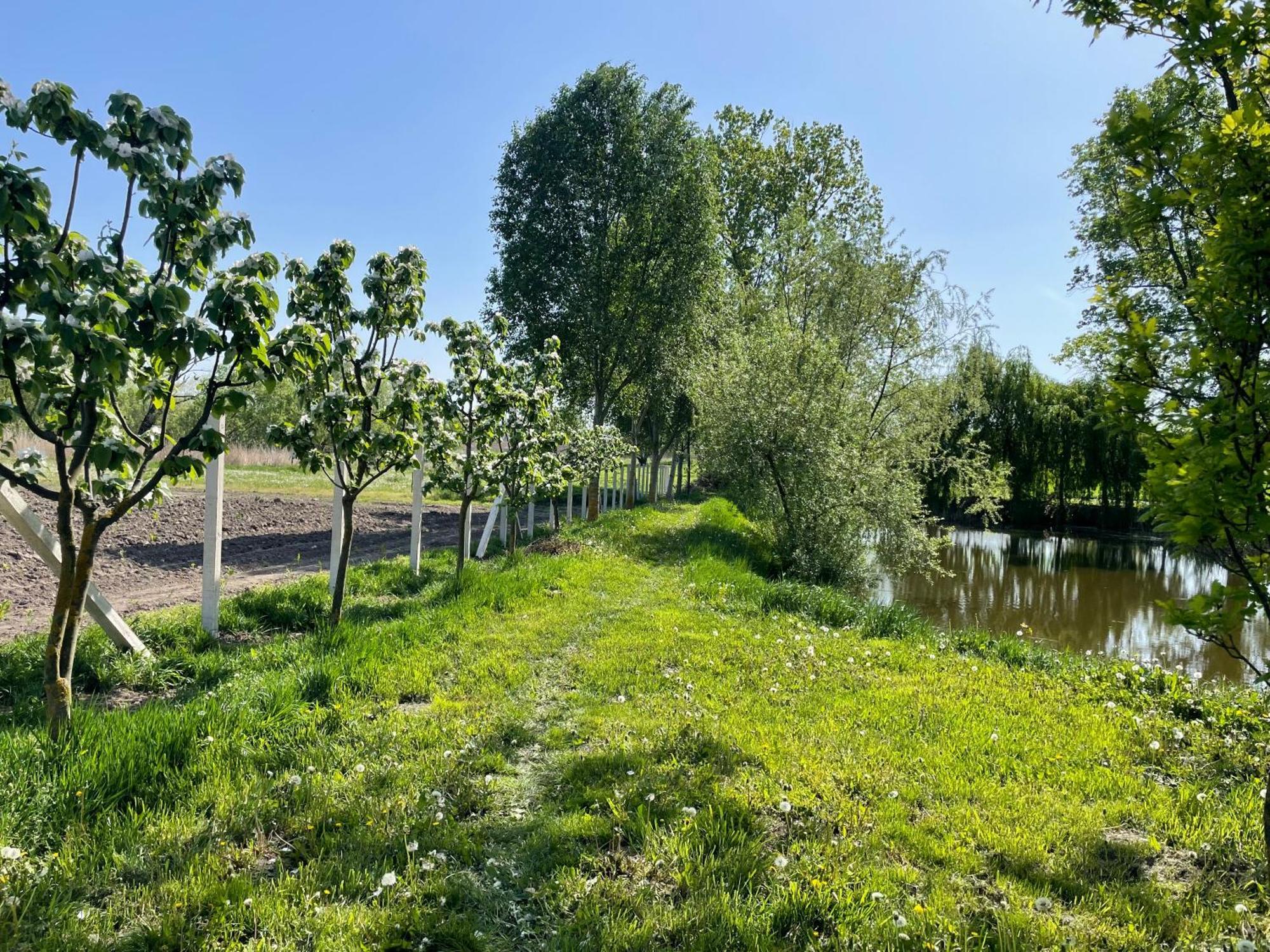 Almosdi Topart Vendeghaz Exteriör bild